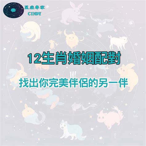 年次配對|完美配對：12生肖婚姻配對